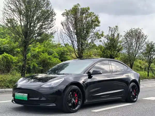 Tesla Model 3 2021