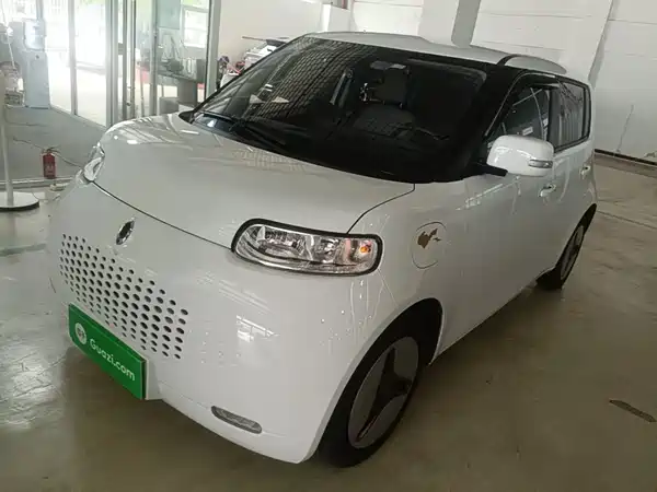Ora White Cat 2021