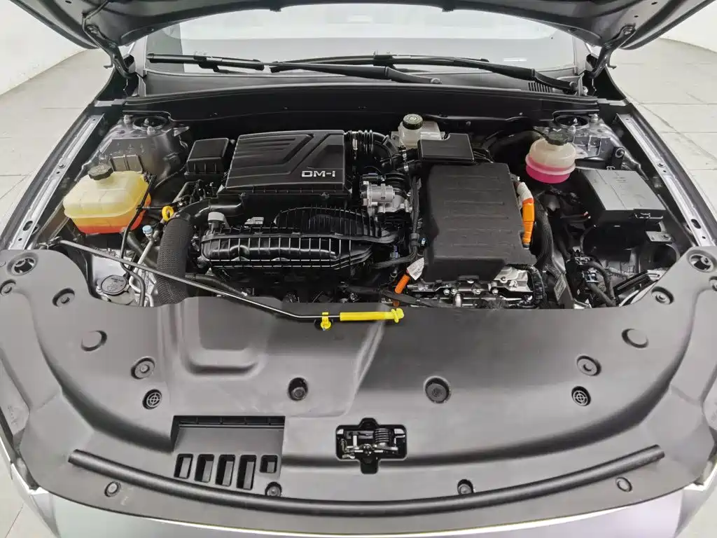 BYD Qin PLUS 2024