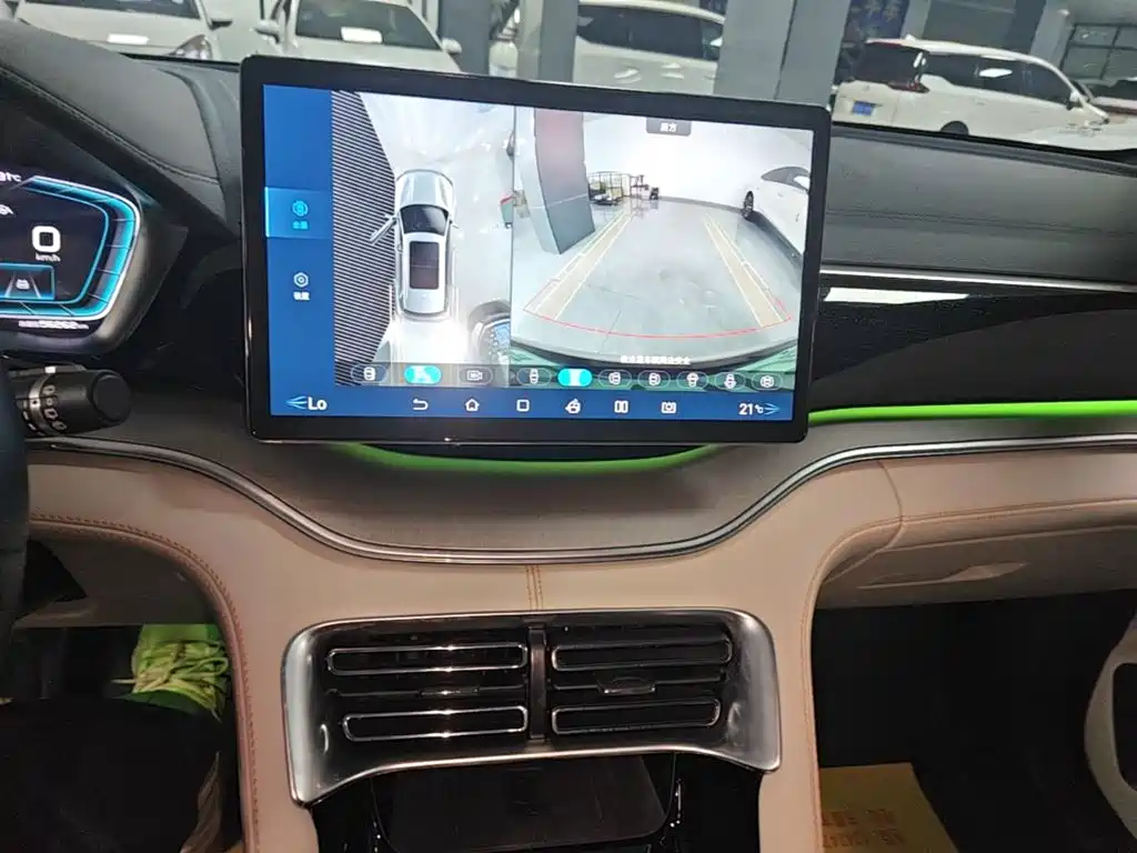 BYD Song PLUS New Energy 2022 — фото 13