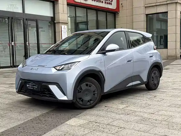 BYD Seagull 2024