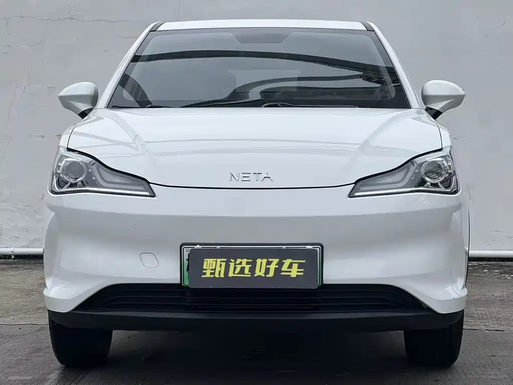 Neta V 2021