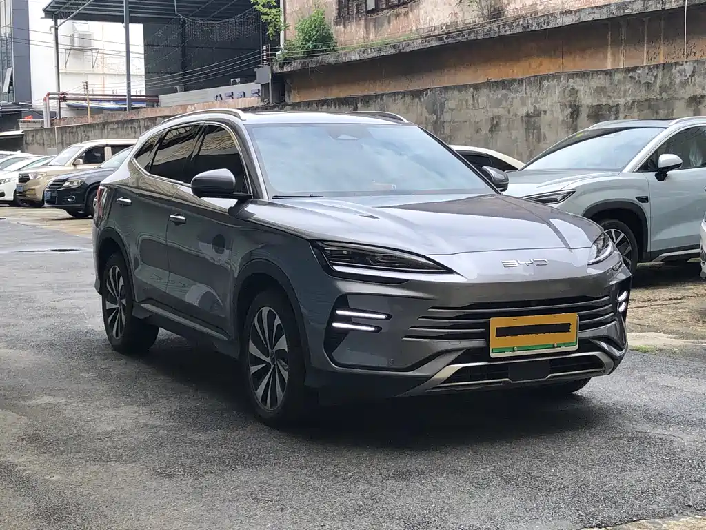 BYD PLUS New Energy 2023 — фото 3