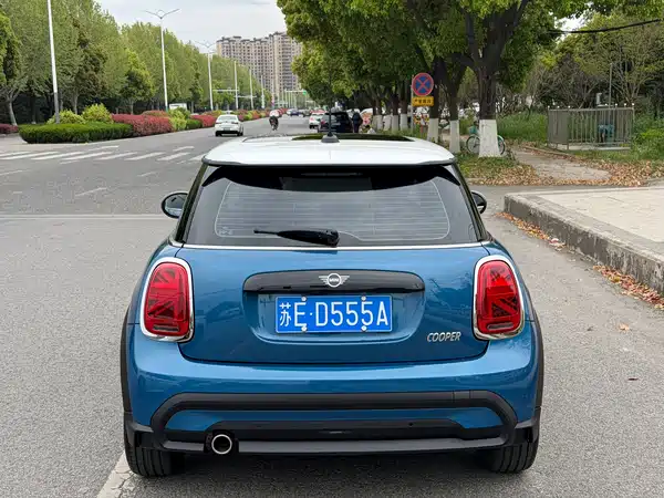 MINI MINI 2022