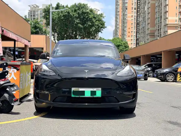 Tesla Model Y 2021