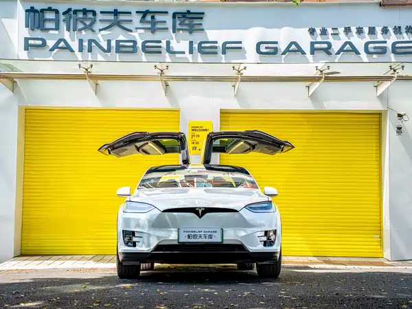 Tesla Model X 2019