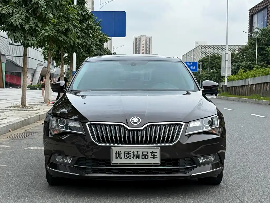 Skoda Speedy 2017