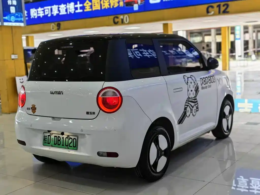 Qiyuan Lumin 2025