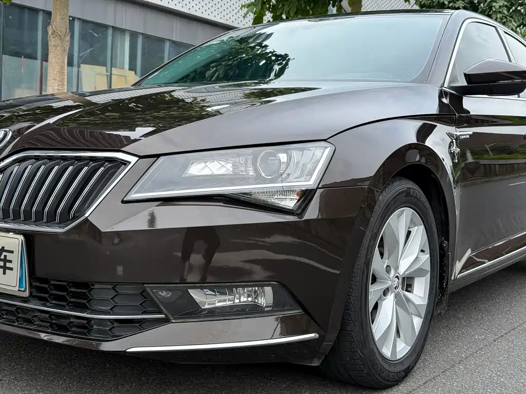 Skoda Speedy 2017