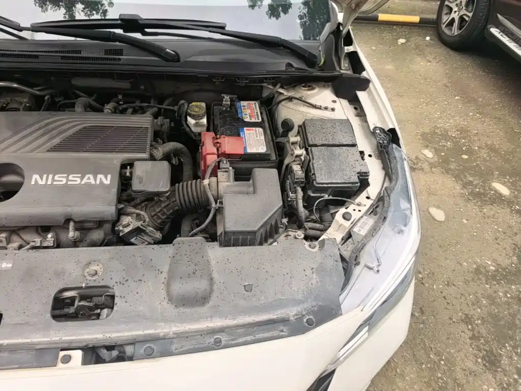Nissan Sylphy 2019 — фото 22