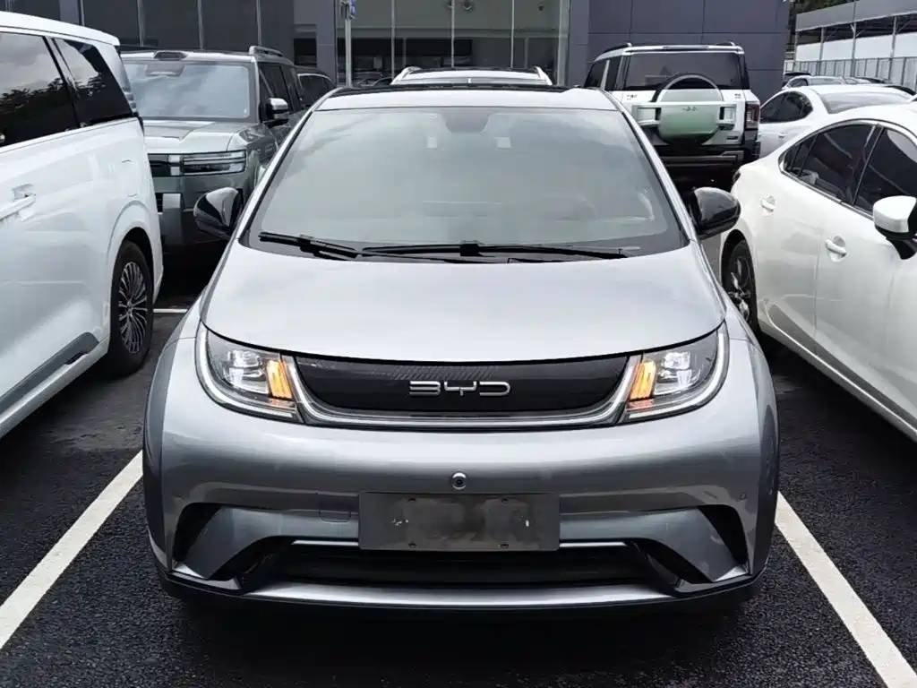 BYD Dolphin 2023