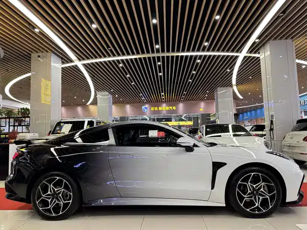 Neta GT 2024