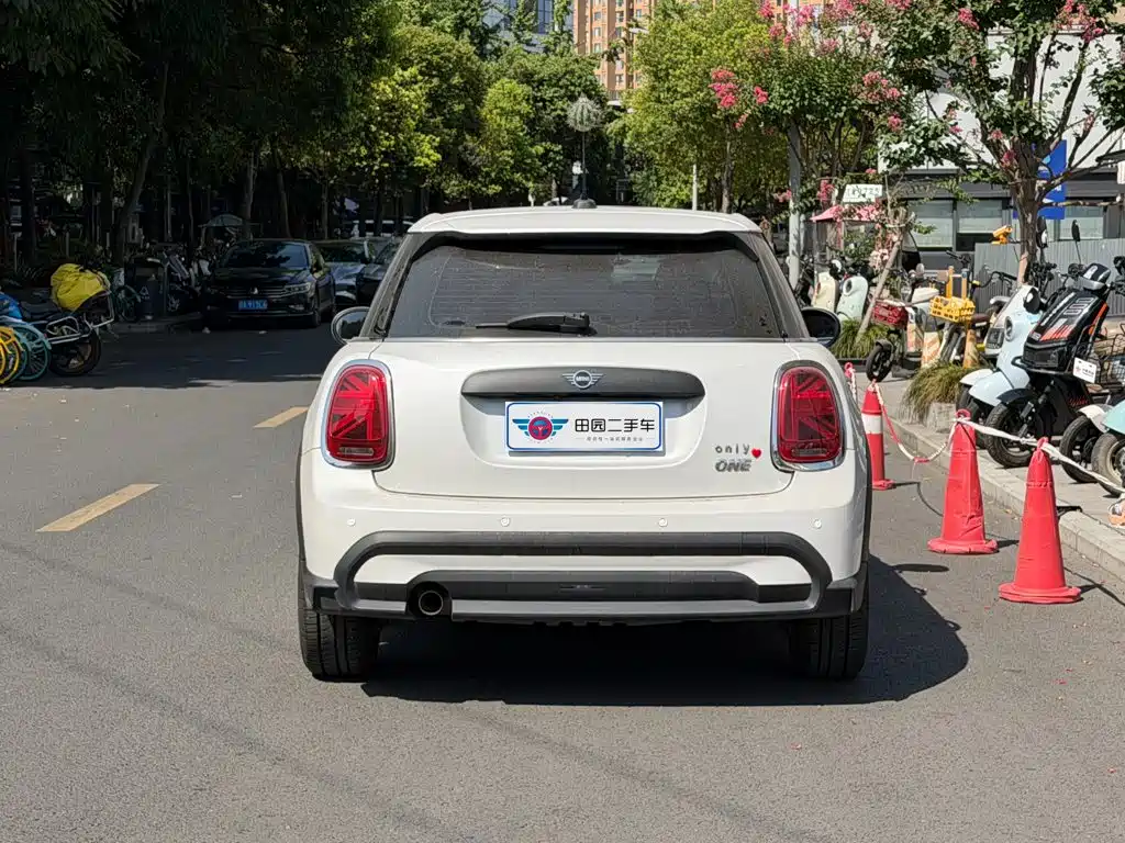 MINI MINI 2024