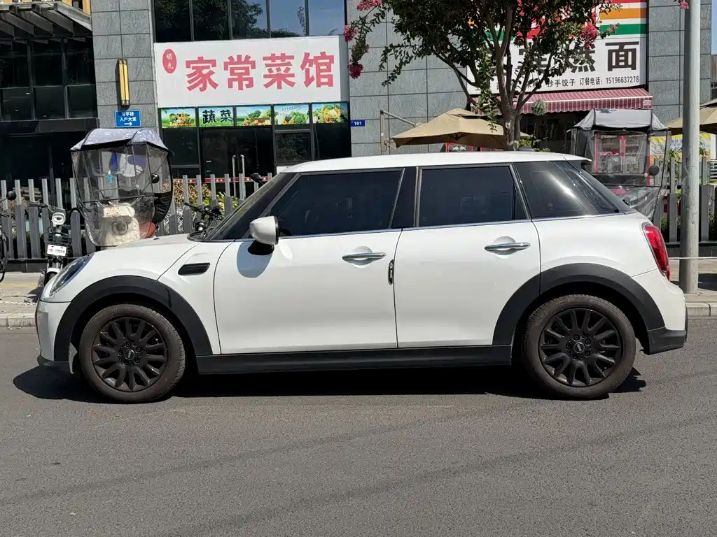 MINI MINI 2024