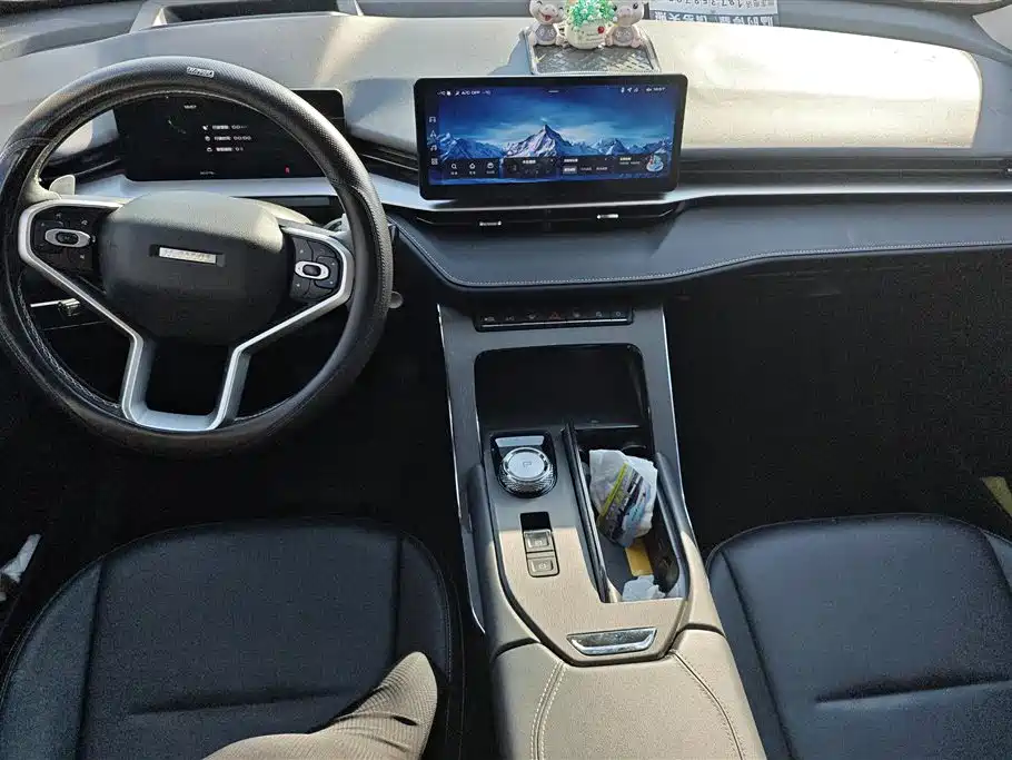 Haval H6 2023 — фото 12