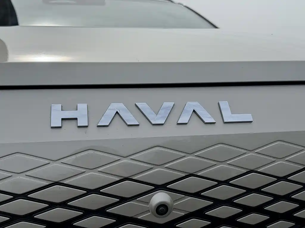 Haval Xiaolong MAX 2023 — фото 29
