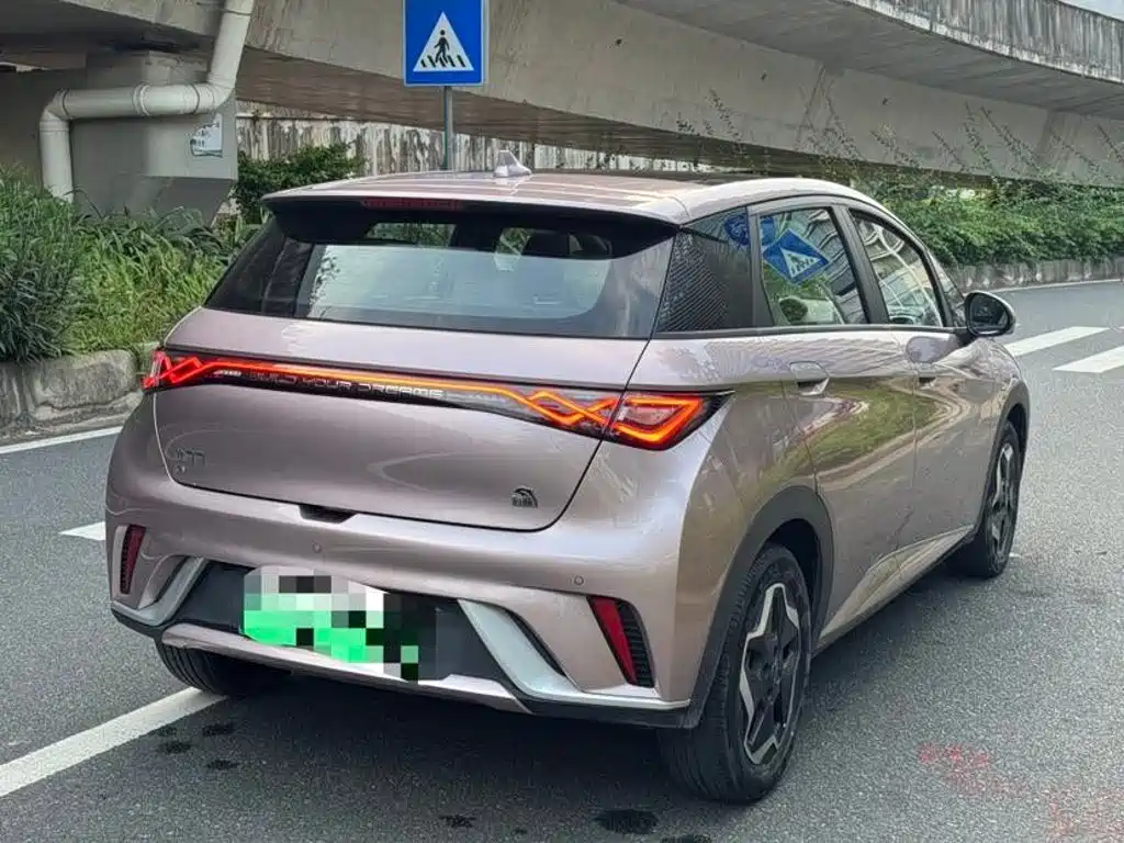 BYD Dolphin 2022