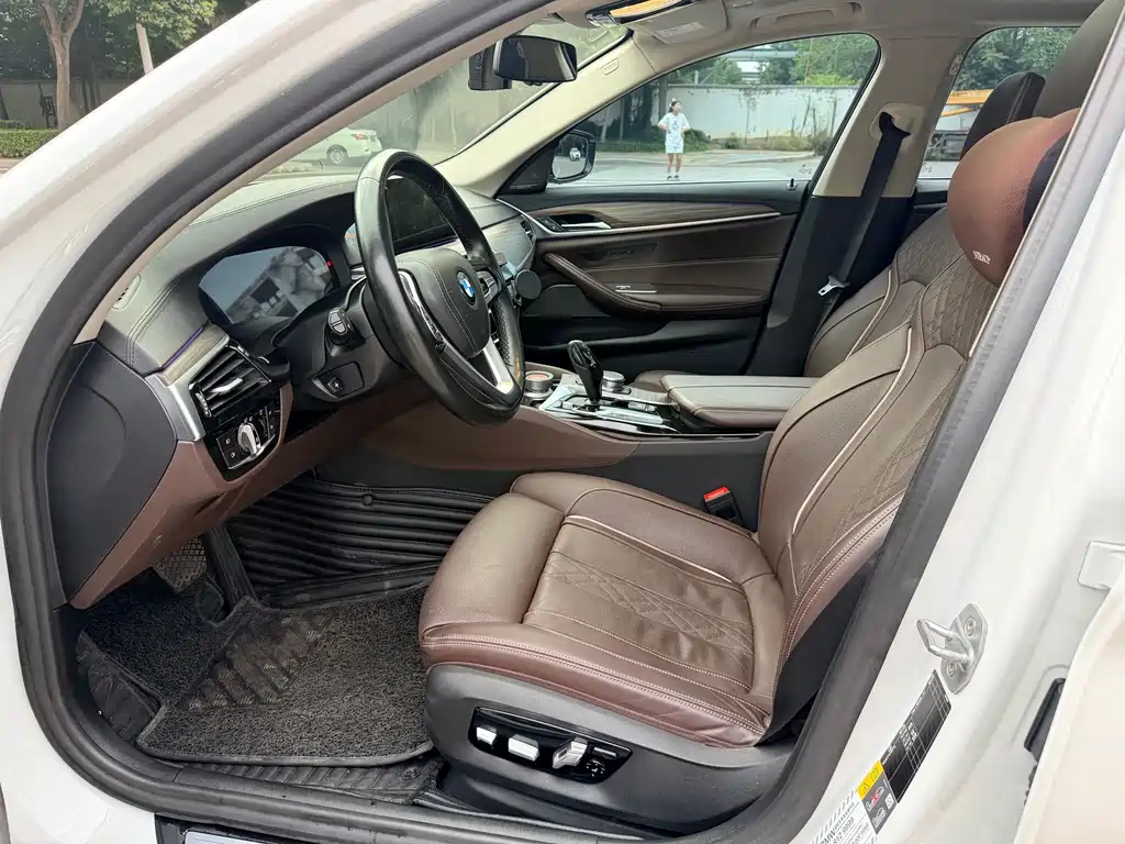 BMW 5 Series New Energy 2019