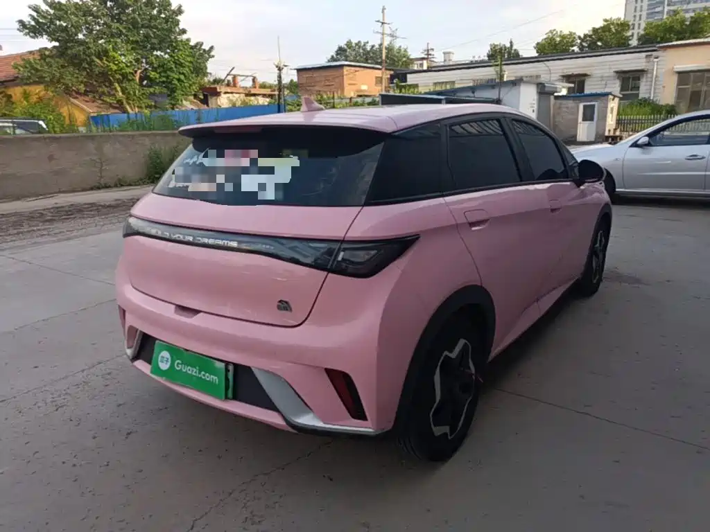 BYD Dolphin 2022