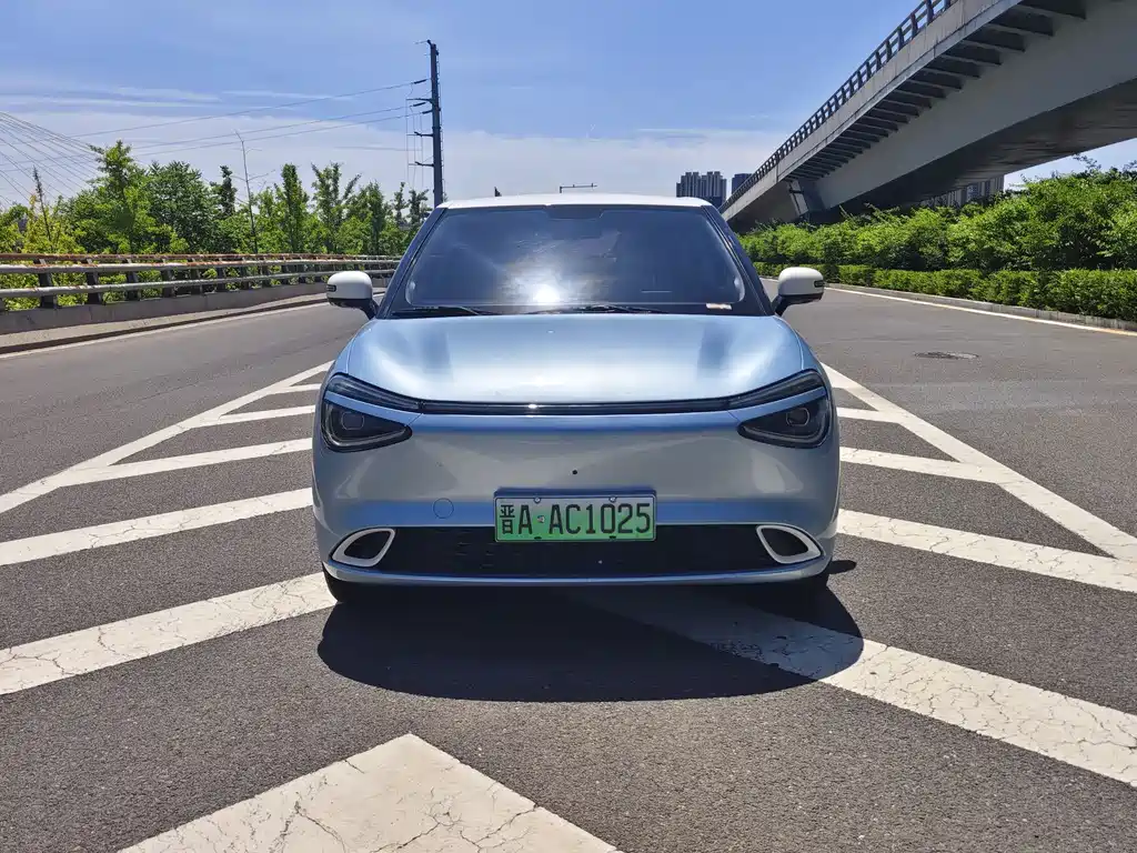 Dongfeng Nano 01 2024