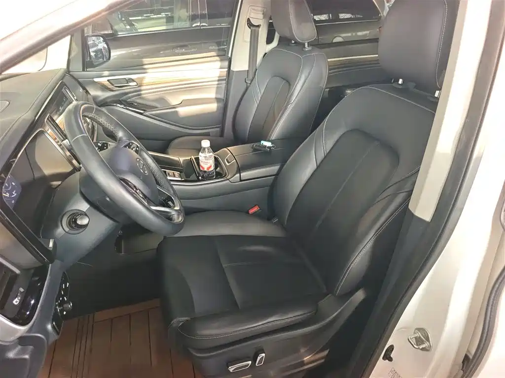GAC Motor Trumpchi M8 2021 — фото 15
