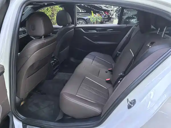 BMW 5 Series New Energy 2021