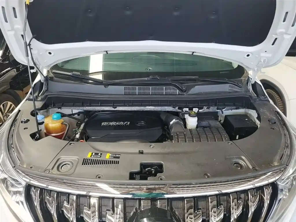 GAC Motor Trumpchi M8 2021 — фото 20