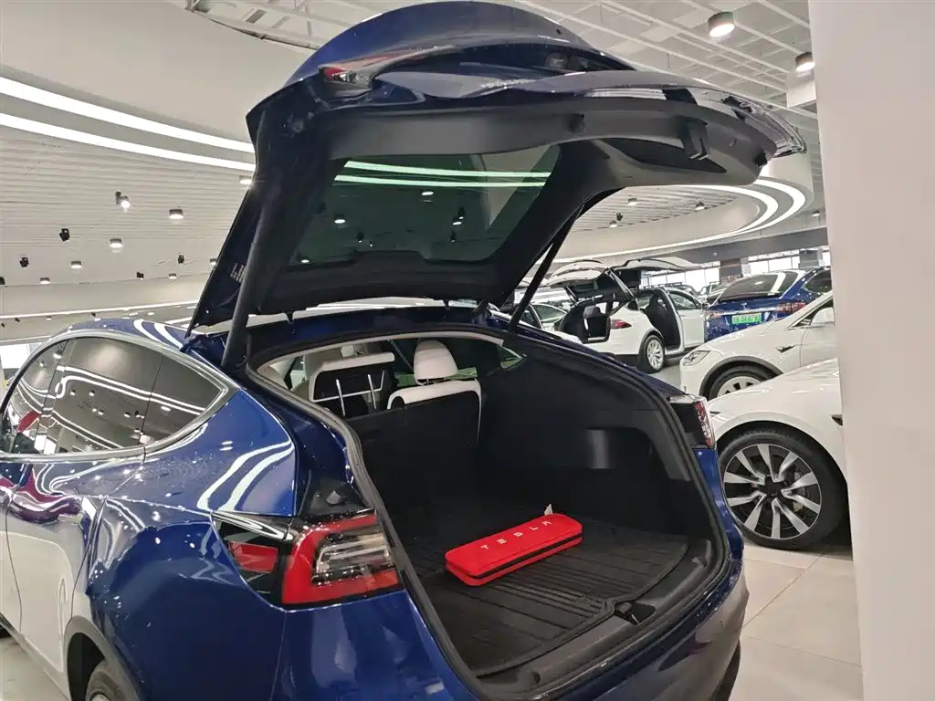 Tesla Model Y 2021 — фото 15