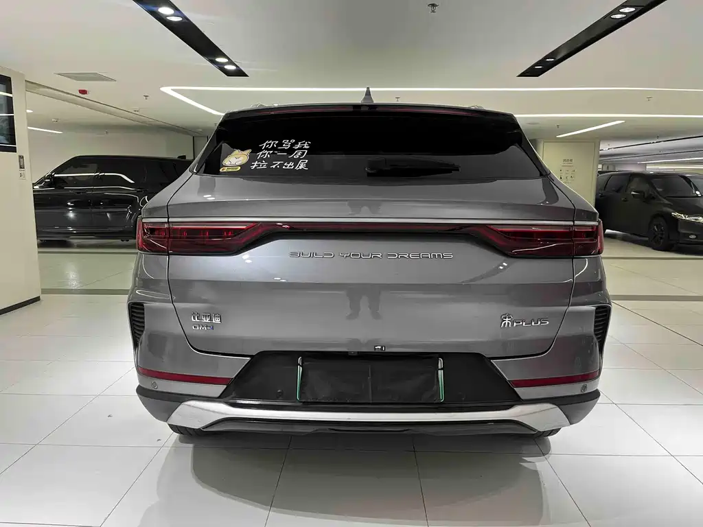 BYD PLUS New Energy 2022 — фото 15