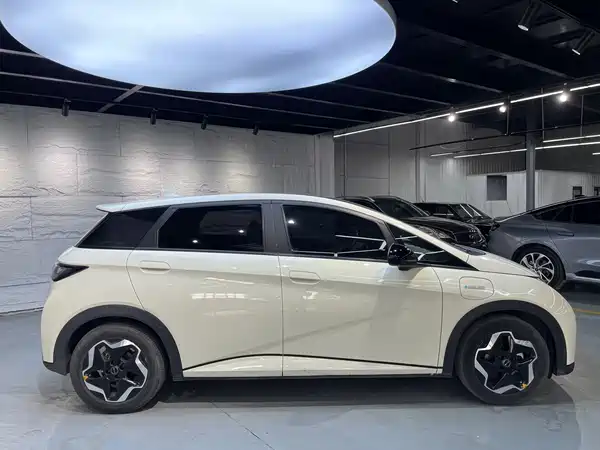 BYD Dolphin 2021