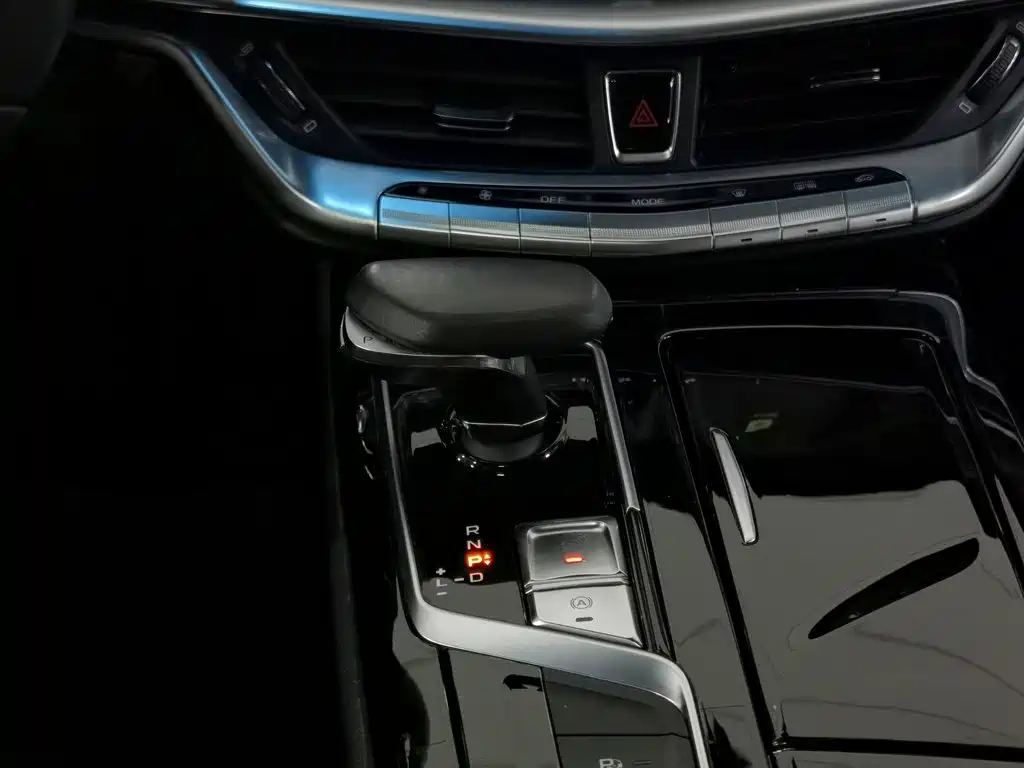 Geely Borui Hybrid 2019 — фото 13