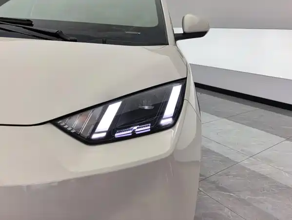 BYD Seagull 2024