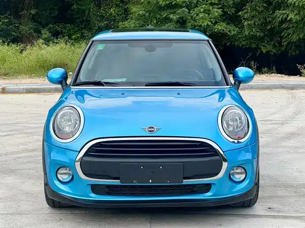 MINI MINI 2019