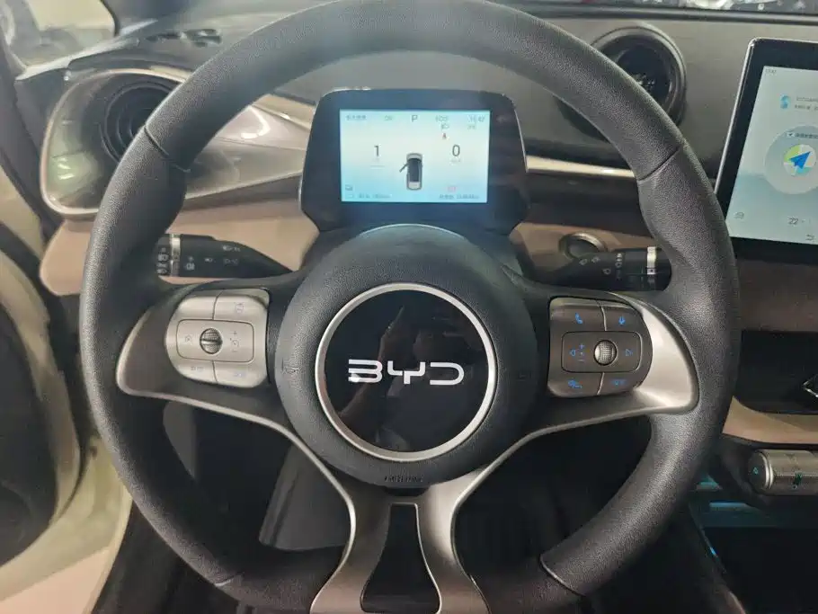 BYD Dolphin 2024 — фото 15