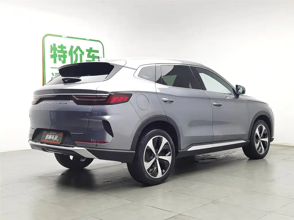BYD PLUS New Energy 2022 — фото 2