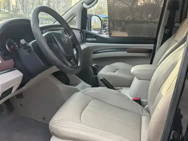 Dongfeng Lingzhi 2019