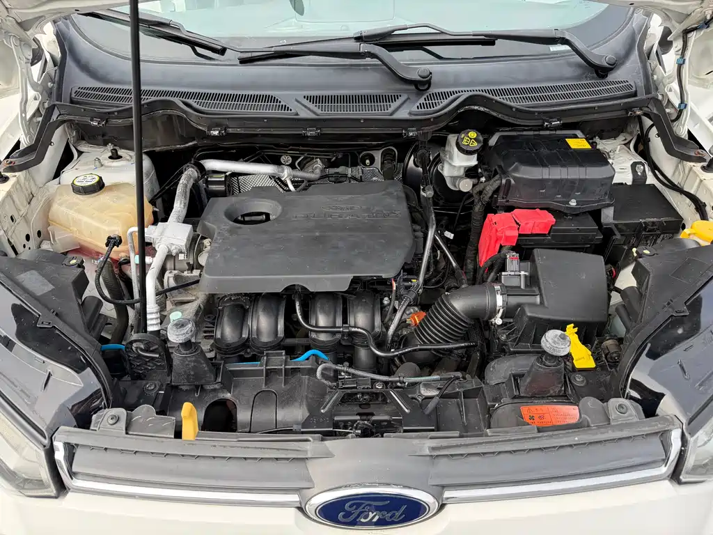 Ford Ecosport 2014 — фото 24