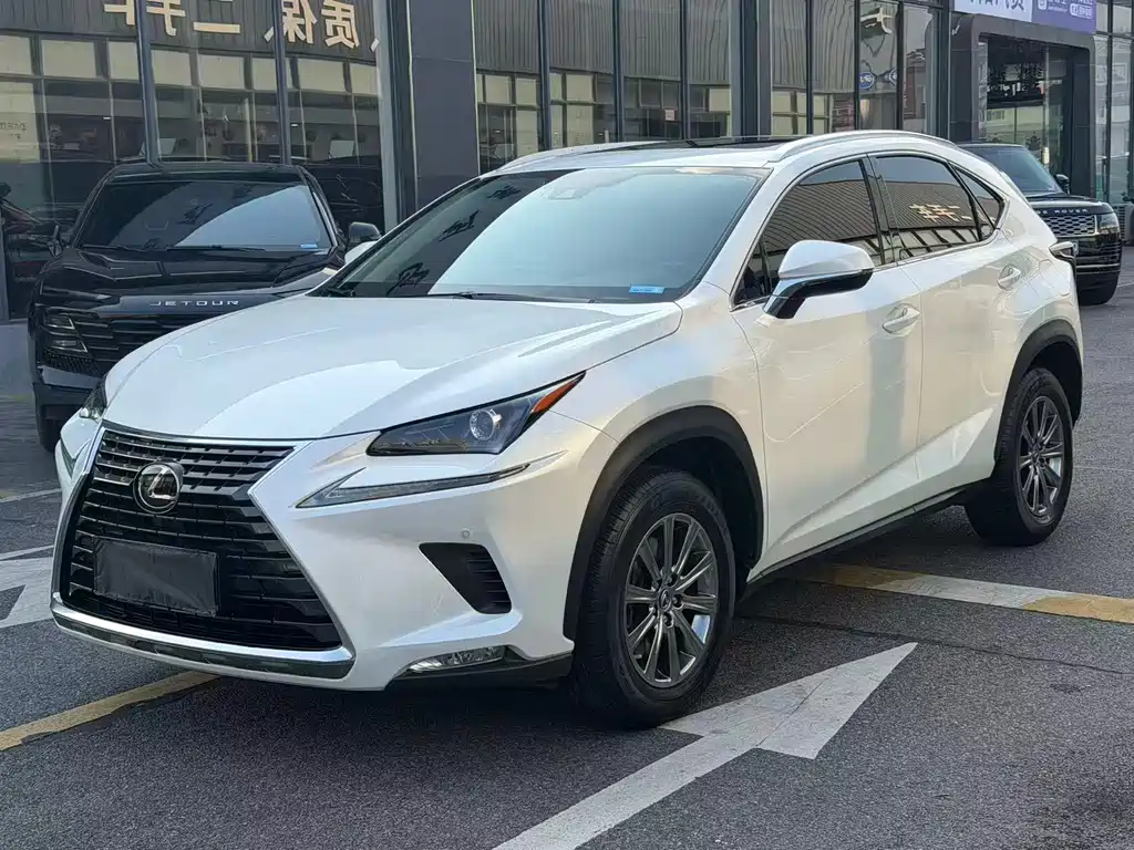 Lexus NX 2020 — фото 1