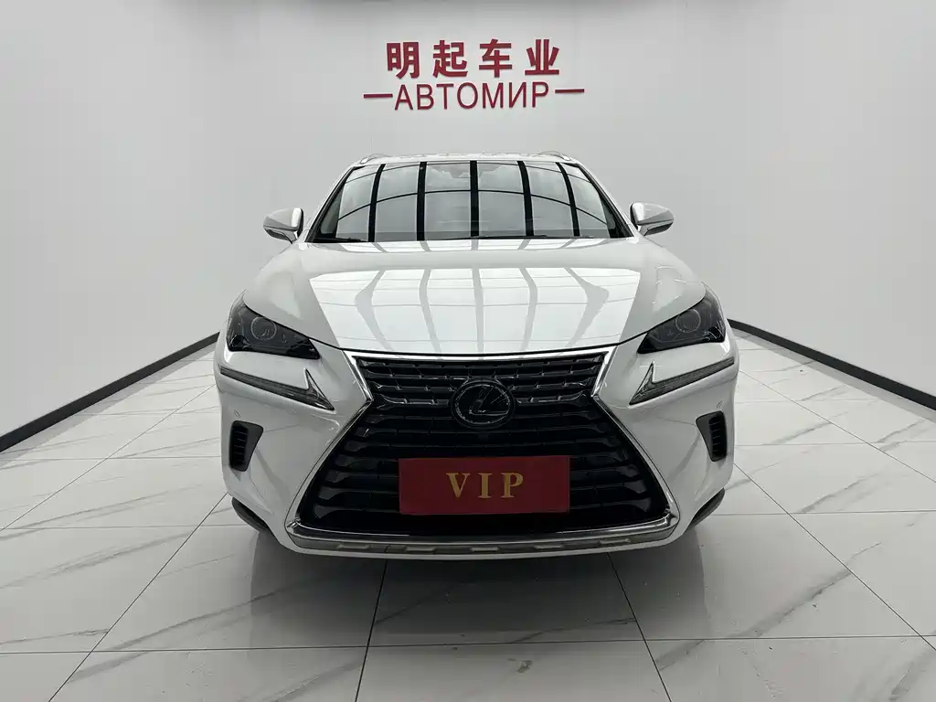 Lexus NX 2020 — фото 2