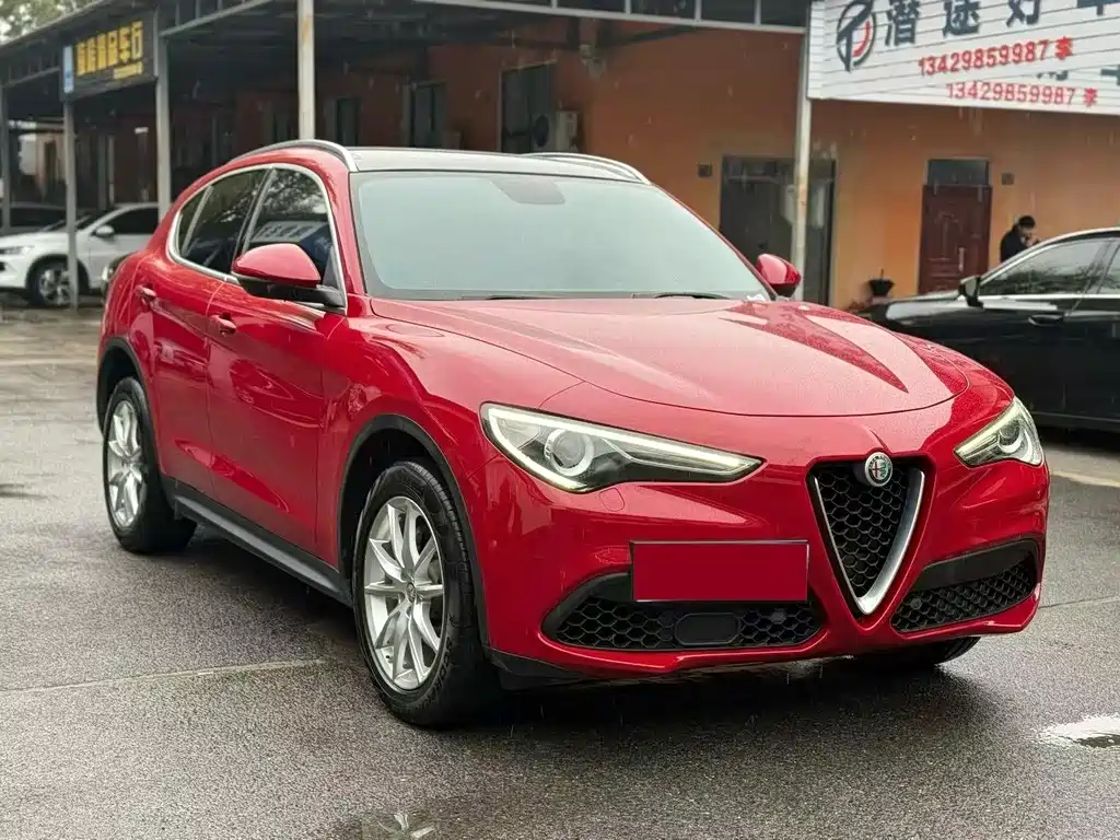 Alfa Romeo Stelvio 2019 — фото 3