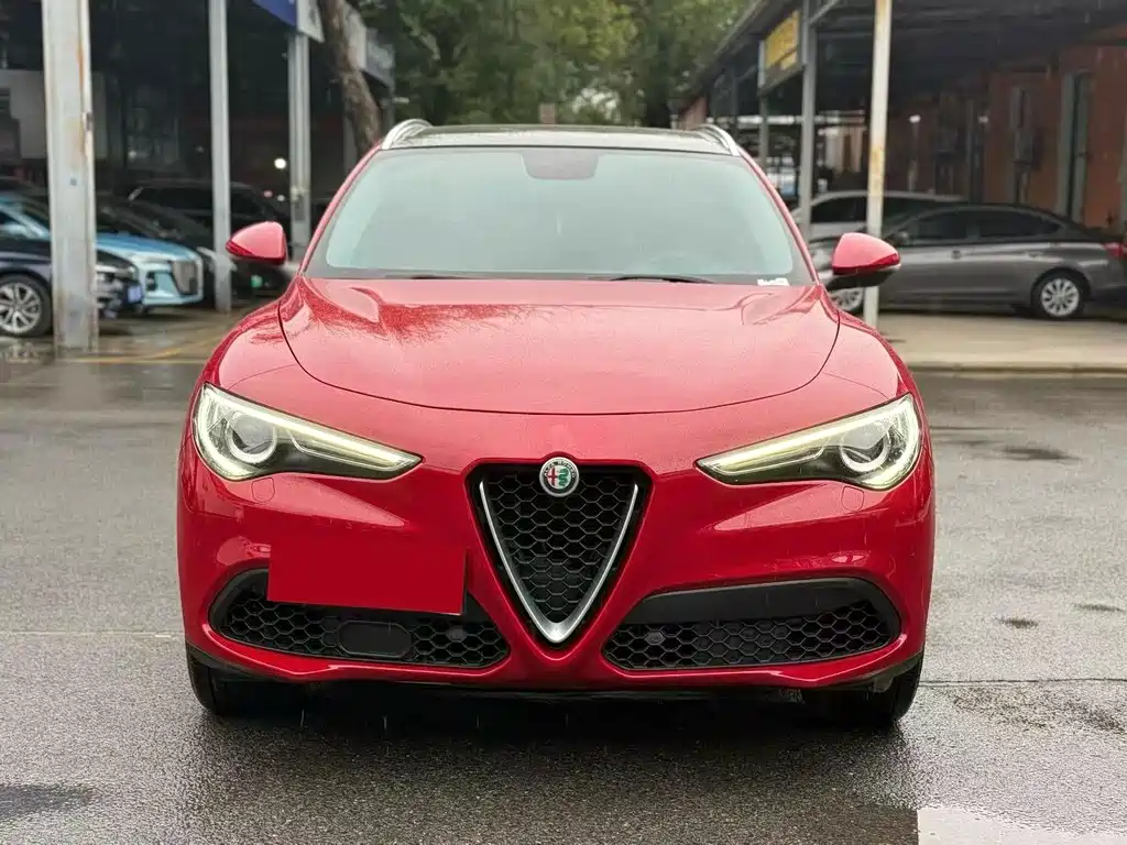 Alfa Romeo Stelvio 2019 — фото 2