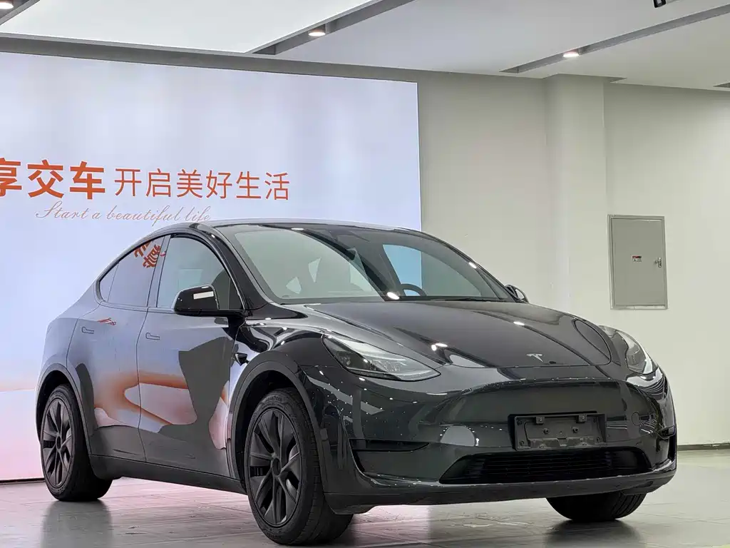Tesla Model Y 2024 — фото 3
