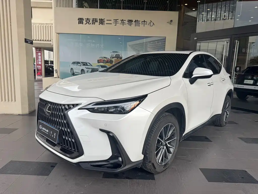 Lexus NX 2024 — фото 1