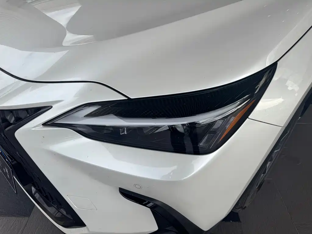 Lexus NX 2024 — фото 11