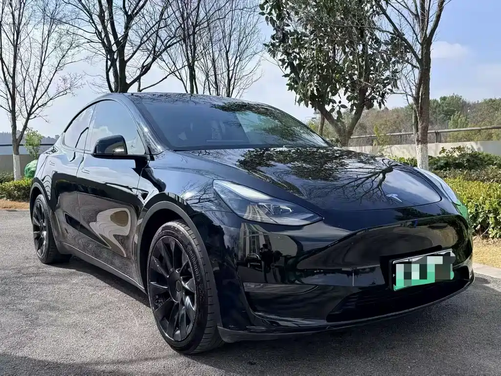 Tesla Model Y 2021 — фото 3