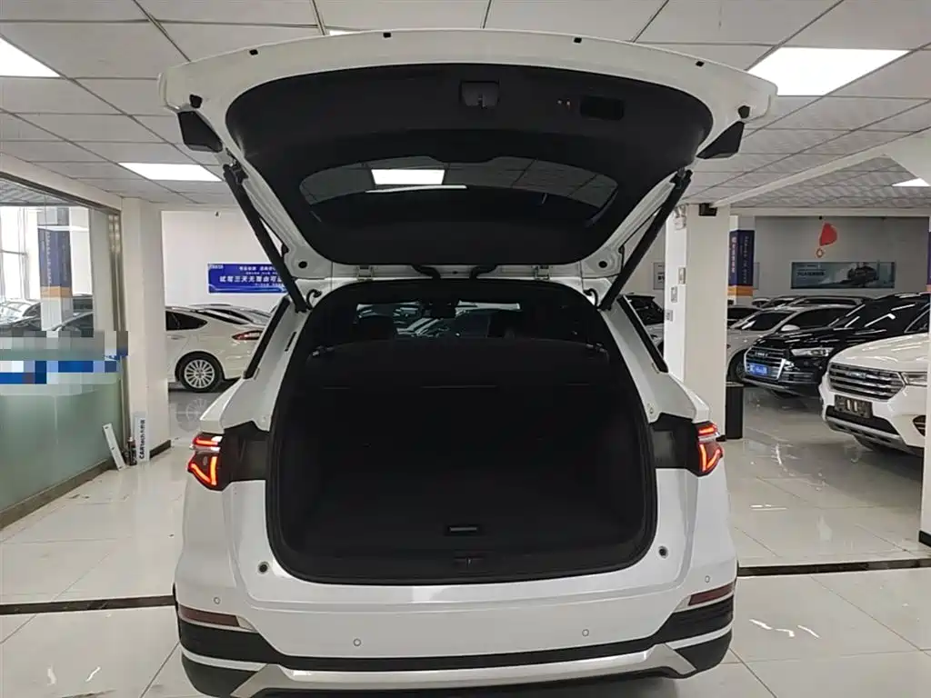 BYD Pro New Energy 2023 — фото 19