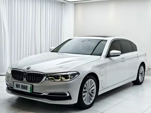 BMW 5 Series New Energy 2020