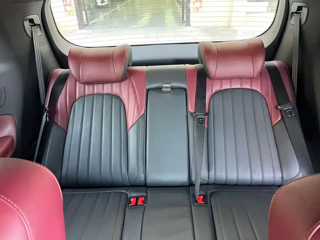 GAC Motor Trumpchi M8 2023 — фото 8