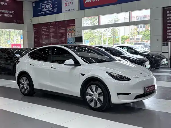 Tesla Model Y 2021
