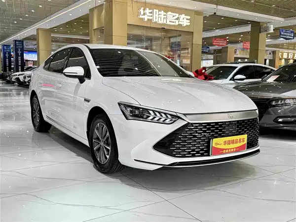 BYD Qin PLUS 2024